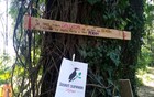 NOVOSADSKI SURVIVOR: Poruke ljudi koji telima čuvaju Šodroš i ne pristaju na logor jedne partije