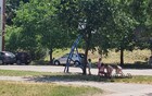 FOTO: Bahato parkiranje na dečijem igralištu