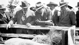 Poljoprivredni sajam u Novom Sadu pred Drugi svetski rat