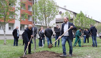 U naredne dve godine u Novom Sadu 10.000 novih stabala