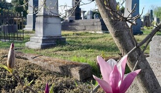 Predviđena obnova 18 zaštićenih spomenika na grobljima u Novom Sadu i Stepanovićevu