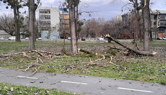 FOTO: Jak vetar u Novom Sadu lomi stabla i ruši ograde – kej neprepoznatljiv