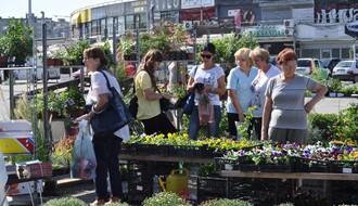 Treća jesenja "Cvetna pijaca" u petak i subotu u Novom Sadu