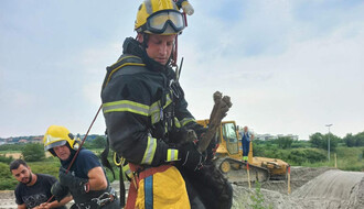 FOTO: Novosadski vatrogasci spasili psa iz bunara