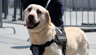VIDEO: "Policajci i službeni psi – neustrašiv tandem"