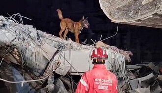 Zigi, pas iz Novog Sada, nanjušio još jednu živu osobu pod ruševinama u Turskoj