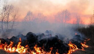 Na njivama u okolini Novog Sada ove jeseni izbilo 11 većih požara