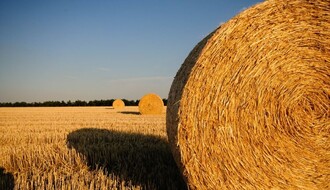 Potencijali za saradnju Gruzije i Vojvodine u poljoprivredi