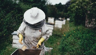 UPOZORENJE PČELARIMA U NS I BEOČINU: Tretmani protiv komaraca iz vazduha i sa zemlje