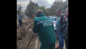 VIDEO: Nema više "raspevanog žbuna" na Novom naselju