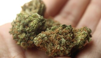 MUP: Krivične prijave zbog 230 grama marihuane