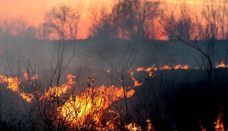 JKP "ČISTOĆA": Požar na novosadskoj deponiji najverovatnije podmetnut