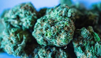 U vozilu i stanu mladića iz Bačke Palanke pronađeno 266 grama marihuane