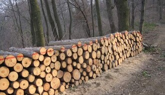 Pokret "Odbranimo šume Fruške gore" poslao otvoreno pismo ministru Trivanu
