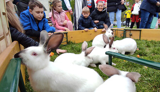 FOTO: Tradicionalno farbanje uskršnjih jaja i druženje sa zekama na Detelinari