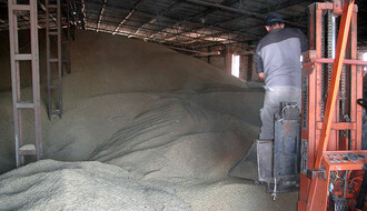 Pšenica i kukuruz poskupeli na Produktnoj berzi u Novom Sadu