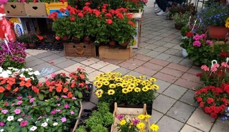 Druga prolećna "Novosadska cvetna pijaca" u petak i subotu na platou ispred Spensa