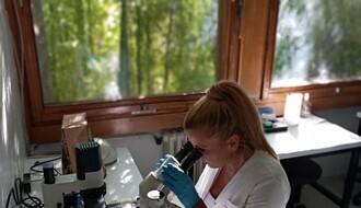 Prof. dr Kristina Pogrmić Majkić: Da li i u kojoj meri hemikalije u proizvodima od plastike utiču na neplodnost