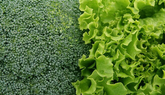Zeleno lisnato povrće – najvažnija namirnica za zdravlje mozga