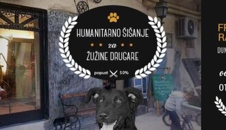 U SUBOTU U DUNAVSKOJ: Humanitarno šišanje za pomoć napuštenim životinjama