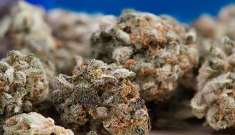 Meštanina Prigrevice čeka krivična prijava zbog devet paketića marihuane