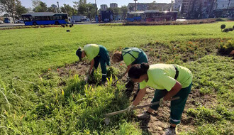 Zelenilo kosi travu i ambroziju na više lokacija u Novom Sadu