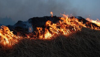 Požar na Fruškoj gori u rejonu Beočina
