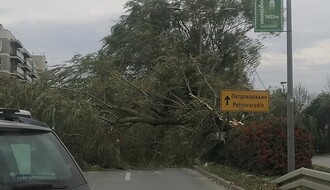FOTO: Polomljeno drvo promenilo tok saobraćaja na Keju