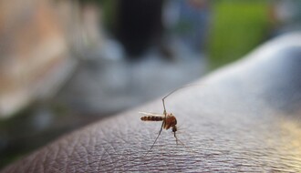Spreman prvi veliki ovogodišnji udar na komarce i krpelje u celom Novom Sadu