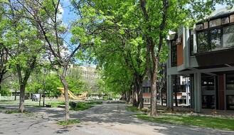 Polaganje prijemnih ispita na Novosadskom univerzitetu počinje u četvrtak, prijava moguća do sutra