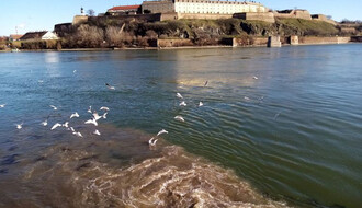Smrad na keju, a pecaroši tik uz kanalizaciju koja se izliva u Dunav