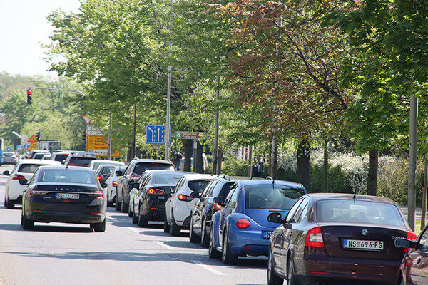 FOTO: Novosađani masovno krenuli ka izletištima na Fruškoj gori FOTO: Novosađani masovno krenuli ka izletištima na Fruškoj gori