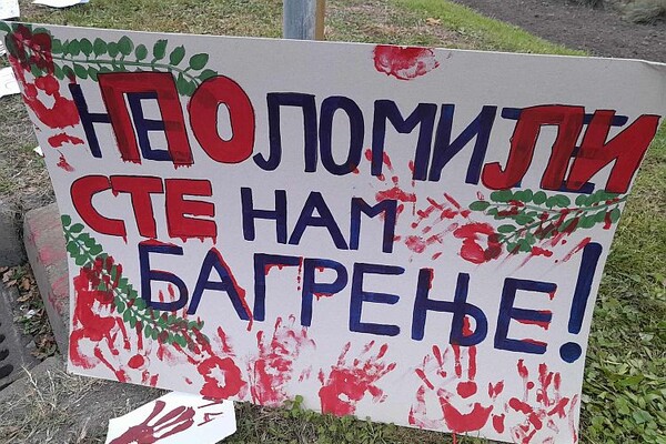 IT blokada i Akademski plenum zajednički formiraju bazu "Za dan posle"