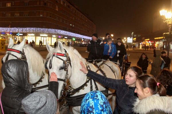FOTO: Deca iz Gračanice posetila "Novosadski Winter Fest"