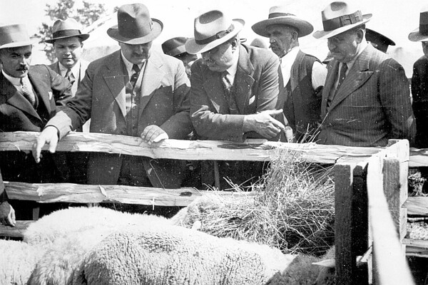 Poljoprivredni sajam u Novom Sadu pred Drugi svetski rat