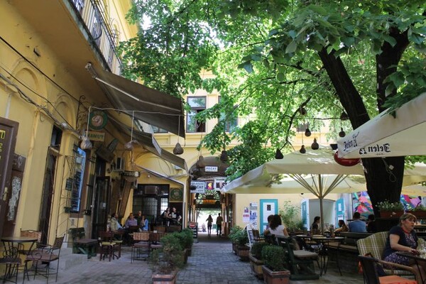 NAŠ IZBOR: Pet najlepših bašta novosadskih kafića (FOTO)