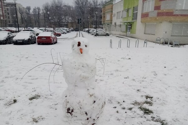 FOTO I VIDEO: Bajkoviti Novi Sad, sneg ne posustaje