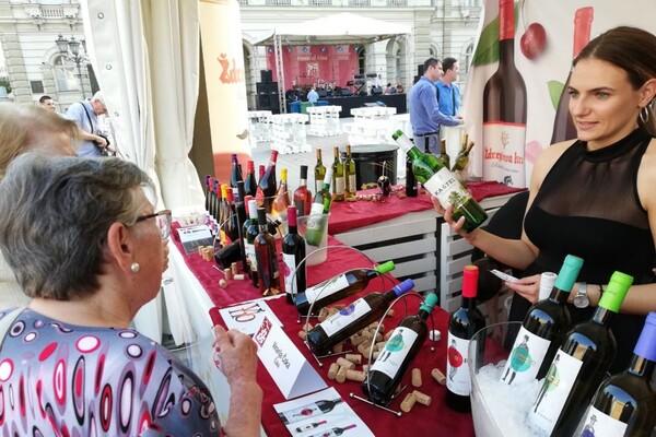 FOTO: Festival vina započeo svoj program i na trgu, muzika svako veče od 20 časova