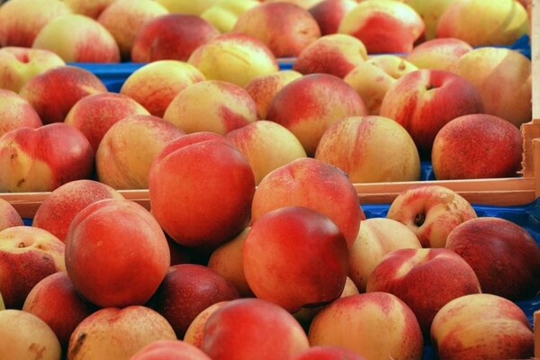 Posle čipsa, Srbiji sa hrvatske granice vraćene i breskve