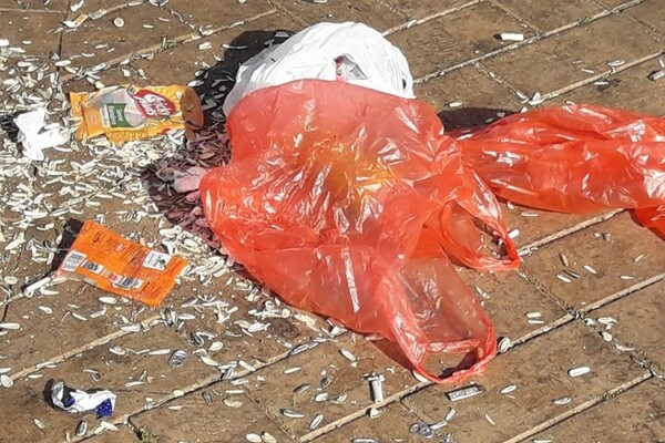 FOTO: Pune ruke posla za "Čistoću" na Keju žrtava racije