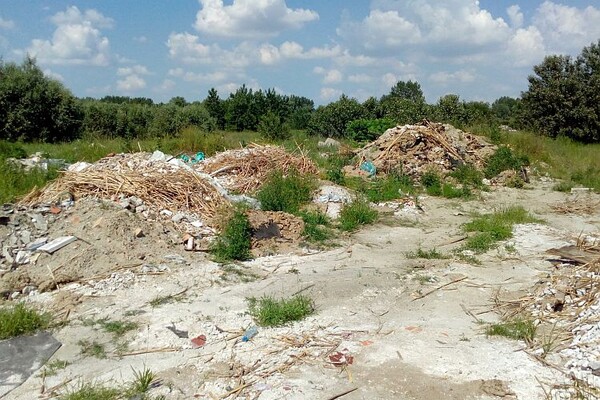 FOTO: Divlje deponije nikle pored izvorišta Petrovaradinska ada