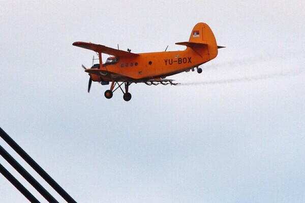 "Ciklonizacija": Sutra tretmani protiv tigrastih komaraca, a sledeće nedelje protiv rečnih