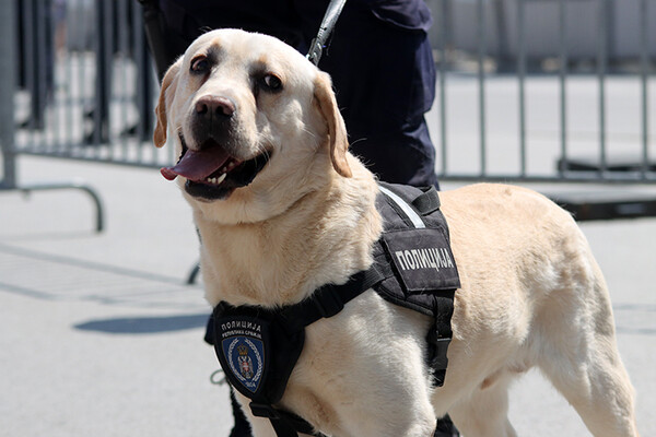 VIDEO: "Policajci i službeni psi – neustrašiv tandem" VIDEO: "Policajci i službeni psi – neustrašiv tandem"