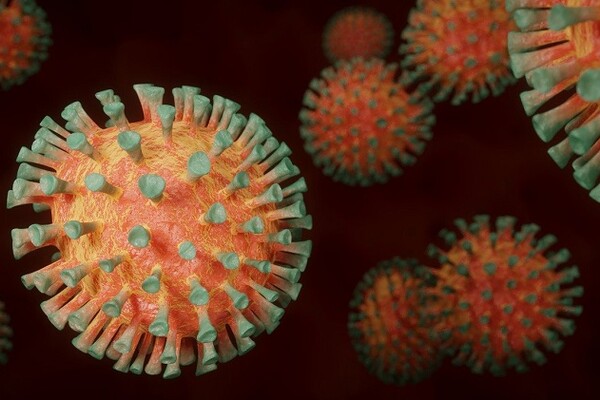 Novi soj virusa širi se Evropom, otkriven i u Danskoj