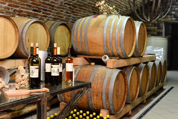 Vinski putevi Fruške gore (FOTO)