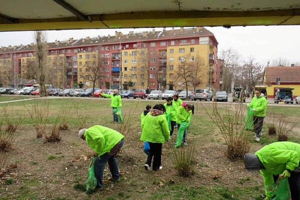"Zelene brigade" sakupile na Detelinari 30 džakova smeća (FOTO)