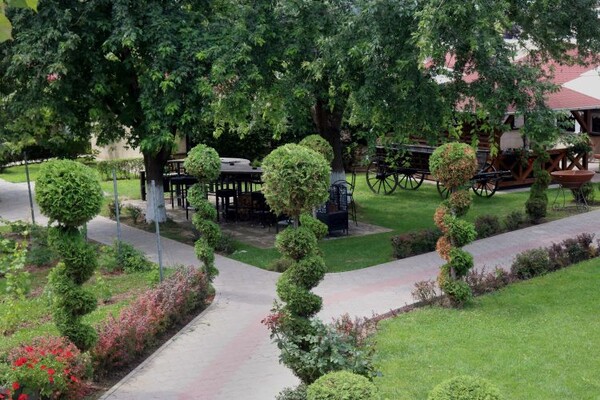 NAŠ IZBOR: Najoriginalnije uređene bašte novosadskih kafića i restorana (FOTO)