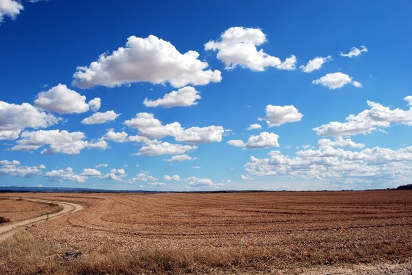 STRUČNJACI UPOZORAVAJU: Vojvodina bi mogla postati pustinja