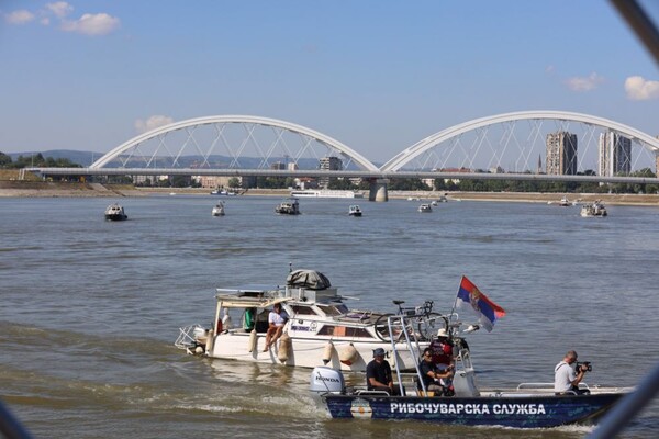 Skoro 100 brodova učestvuje na međunarodnoj regati "Vode Vojvodine" od danas do 3. jula
