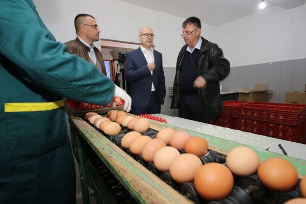 FOTO: Vučević i Nedimović obišli poljoprivredna gazdinstva u Stepanovićevu, Kisaču i Rumenki